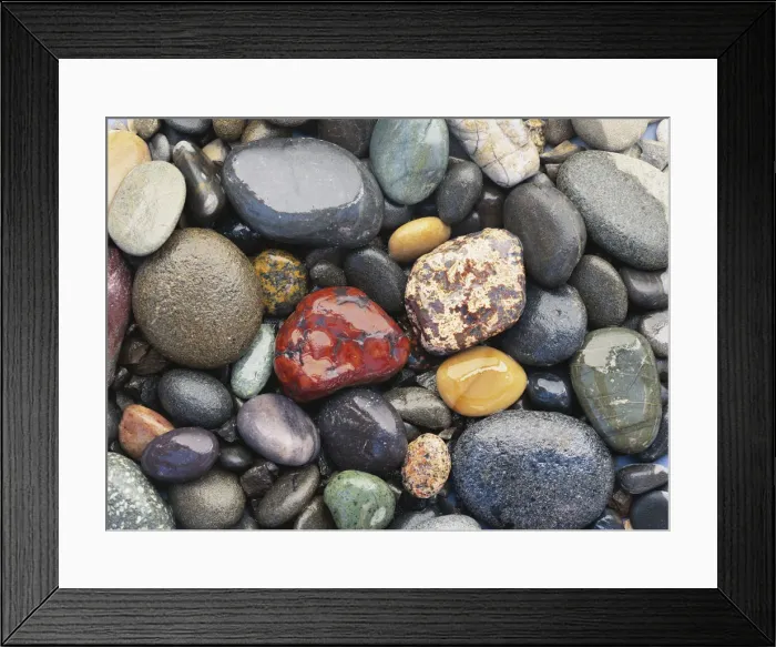 Framed Print : Washington Coast, Olympic National Park, Ruby Beach, Wet pebbles, close-up (full frame)