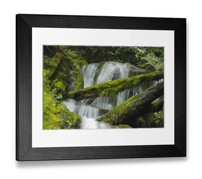 Framed Print : Madison Falls Detail in Elwha River Drainage, Olympic National Park, Washington, US Framed Print : Madison Falls Detail in Elwha River Drainage, Olympic National Park, Washington, US