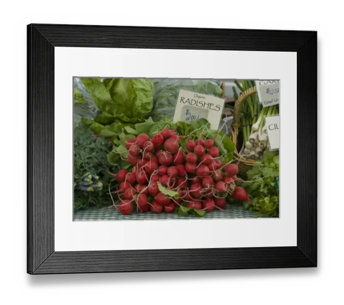 Framed Print : Organic Radishes For Sale at Carnation Farmers Market, Carnation, Washington, US