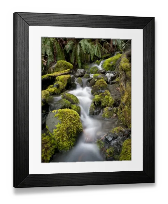 Framed Print : Small tributary to Elwha River, Olympic National Park Framed Print : Small tributary to Elwha River, Olympic National Park