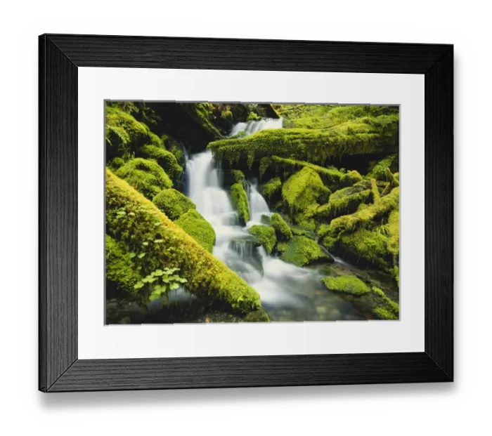 Framed Print : Washington, Olympic National Park, Waterfall over moss covered rock Framed Print : Washington, Olympic National Park, Waterfall over moss covered rock