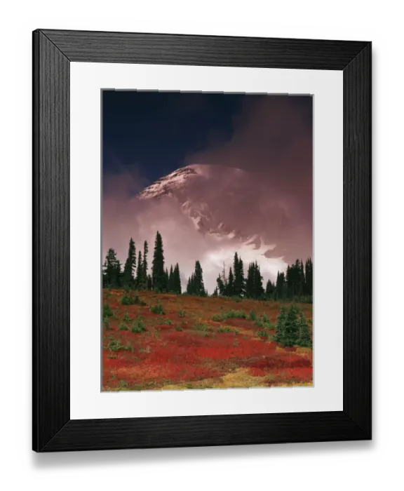 Framed Print : USA, Washington State, View of Mt. Rainier National park Framed Print : USA, Washington State, View of Mt. Rainier National park
