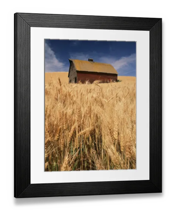Framed Print : USA, Washington State, Palouse, View of barn surrounded with wheatfield