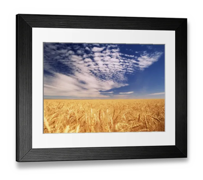 Framed Print : Clouds over wheat field Framed Print : Clouds over wheat field