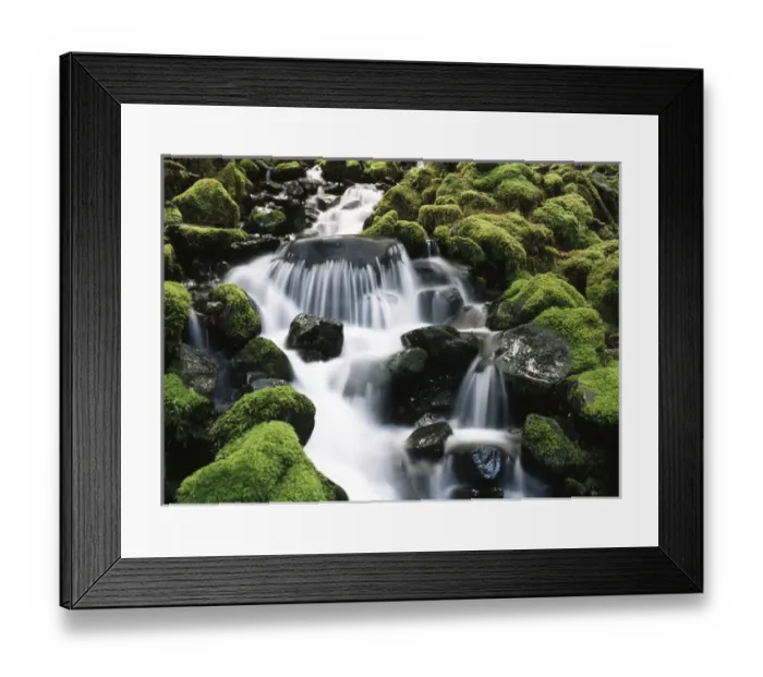 Framed Print : USA, Washington State, Olympic National Park, Creek near Sol Duc Falls Framed Print : USA, Washington State, Olympic National Park, Creek near Sol Duc Falls