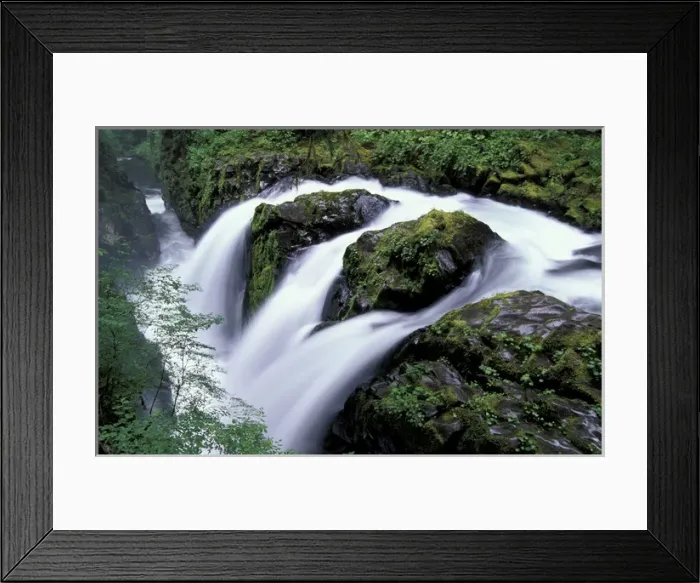 Framed Print : U. S. A. Washington, Olympic Nationial Park Sol Duc Falls Note: May not be sold