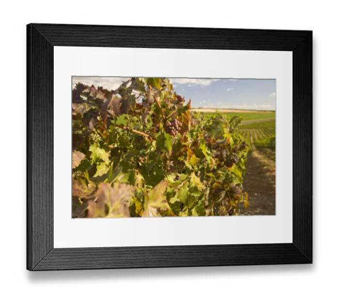 Framed Print : USA, Washington State, Zillah. View from Silver Lake at Roza Hills Vineyard, Rattlesnake