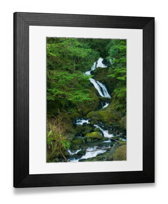 Framed Print : North America, USA, WA, Olympic National Park. Bunch Falls in Quinault Rain Forest Framed Print : North America, USA, WA, Olympic National Park. Bunch Falls in Quinault Rain Forest