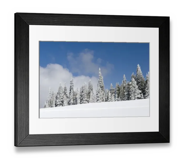 Framed Print : Hurricane Ridge, Olympic National Park Framed Print : Hurricane Ridge, Olympic National Park
