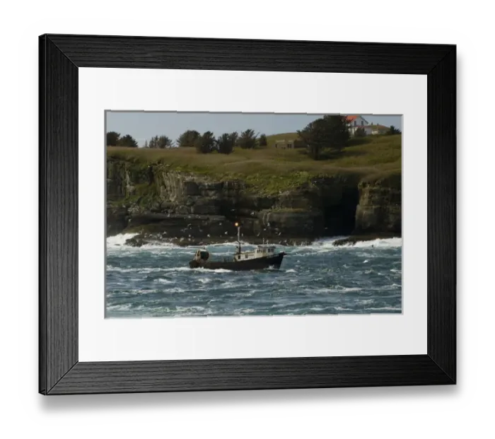 Framed Print : Flock of gulls swarms fishing boat navigating channel between Tatoosh Island Framed Print : Flock of gulls swarms fishing boat navigating channel between Tatoosh Island