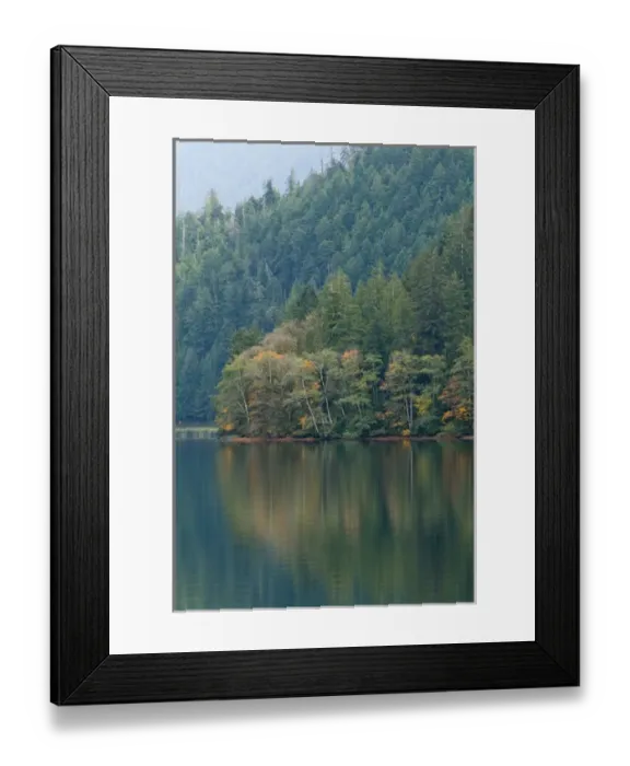 Framed Print : USA, WA. Olympic National Park, Lake Crescent. Serene glassy calm in glacier carved lake