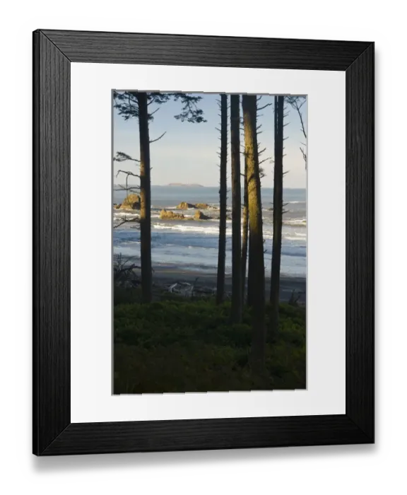 Framed Print : USA, WA, Olympic National Park. Destructin Island Lighthouse from Ruby Beach trail Framed Print : USA, WA, Olympic National Park. Destructin Island Lighthouse from Ruby Beach trail