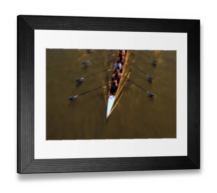Framed Print : NA, USA, Washington, Seattle, Crew Rowing in Motion Framed Print : NA, USA, Washington, Seattle, Crew Rowing in Motion