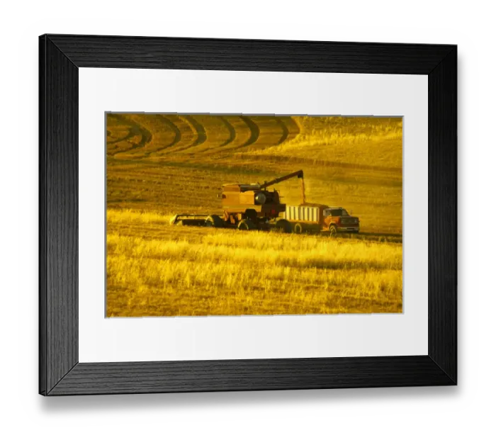 Framed Print : NA, USA, Washington State, Palouse Region, Combines Harvesting Crop Framed Print : NA, USA, Washington State, Palouse Region, Combines Harvesting Crop