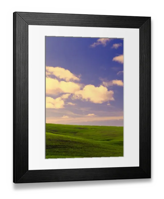 Framed Print : NA, USA, Washington State, Palouse Region, Rolling Green Hills