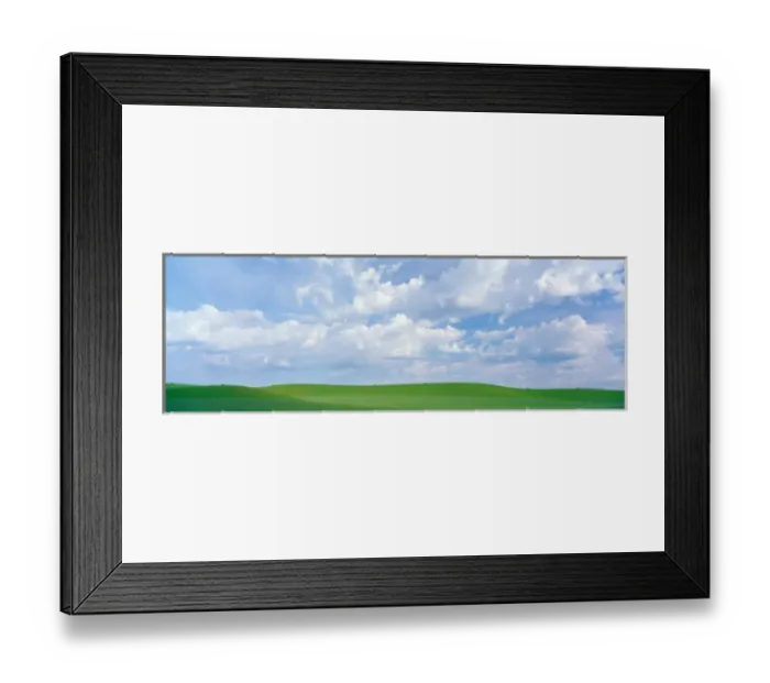 Framed Print : NA, USA, WA, Spring Peas and Wheat Fields Whitman County Framed Print : NA, USA, WA, Spring Peas and Wheat Fields Whitman County