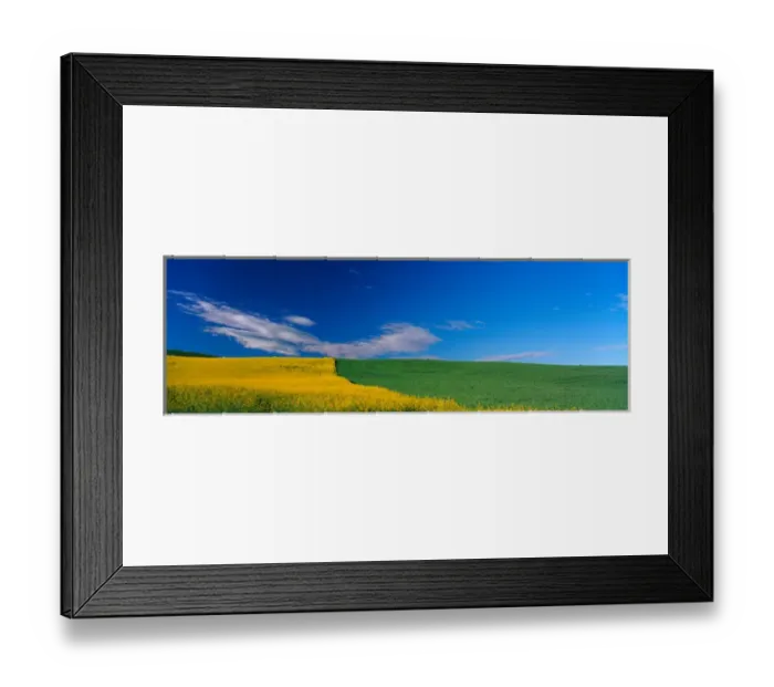 Framed Print : NA, USA, WA, Whitman County, Colfax, Canola and Wheat Feilds Spring Framed Print : NA, USA, WA, Whitman County, Colfax, Canola and Wheat Feilds Spring
