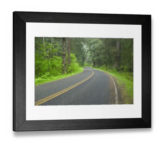 Framed Print : North America, USA, Washington, Olympic National Park, Road Leading Through the Northern Framed Print : North America, USA, Washington, Olympic National Park, Road Leading Through the Northern