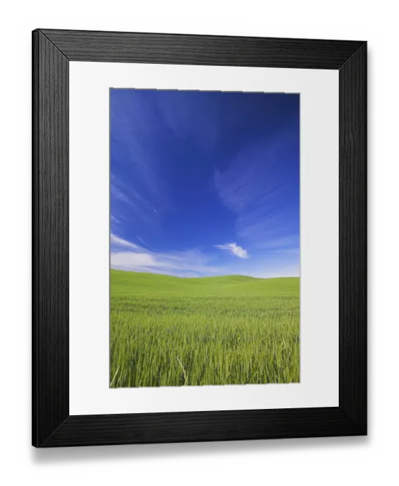 Framed Print : North America, USA, Washington, Palouse Counrty, Rolling Hills of Spring Wheat and Wild Framed Print : North America, USA, Washington, Palouse Counrty, Rolling Hills of Spring Wheat and Wild