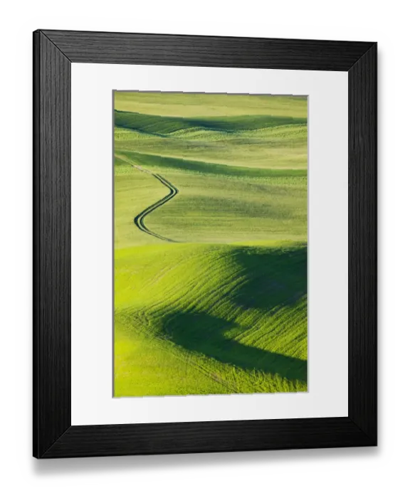 Framed Print : North America, USA, Washington State, Whitman County, S-Pattern Road leading Through Framed Print : North America, USA, Washington State, Whitman County, S-Pattern Road leading Through