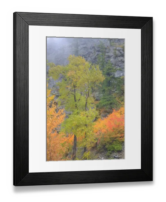 Framed Print : North America, USA, Washington, Leavenworth, Autumn Color in the Cascade Mountains Framed Print : North America, USA, Washington, Leavenworth, Autumn Color in the Cascade Mountains