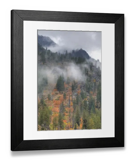 Framed Print : North America, USA, Washington, Leavenworth, Autumn Color in the Cascade Mountains Framed Print : North America, USA, Washington, Leavenworth, Autumn Color in the Cascade Mountains