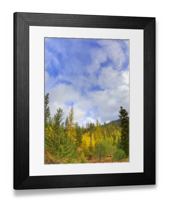 Framed Print : North America, USA, Washington, Leavenworth, Autumn Color in the Cascade Mountains Framed Print : North America, USA, Washington, Leavenworth, Autumn Color in the Cascade Mountains