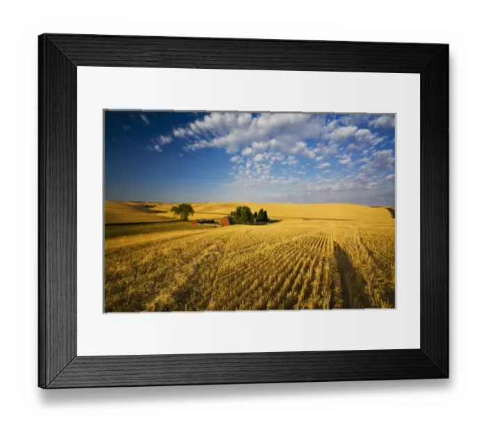 Framed Print : North America, USA, Washington, Palouse Country, Property Released Barn, Harvest Time Fields Framed Print : North America, USA, Washington, Palouse Country, Property Released Barn, Harvest Time Fields