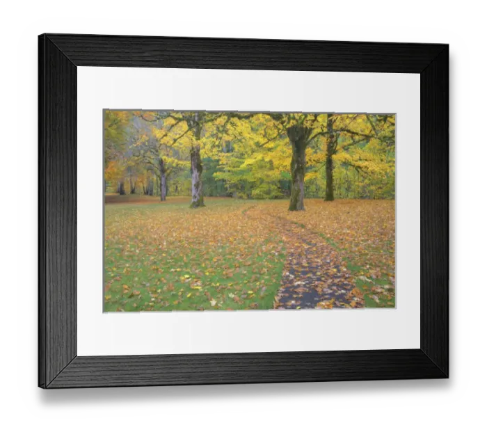 Framed Print : North America, USA, Washington, Newhalem, Autumn Color of the Vine Maples Framed Print : North America, USA, Washington, Newhalem, Autumn Color of the Vine Maples