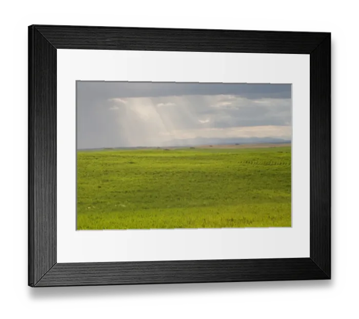 Framed Print : USA, Washington State. Storm clouds and sunrays over wheat fields in May
