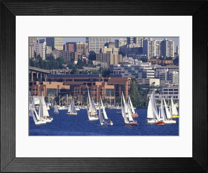 Framed Print : N. A. USA, Washington, Seattle Sail boat race, Lake Union