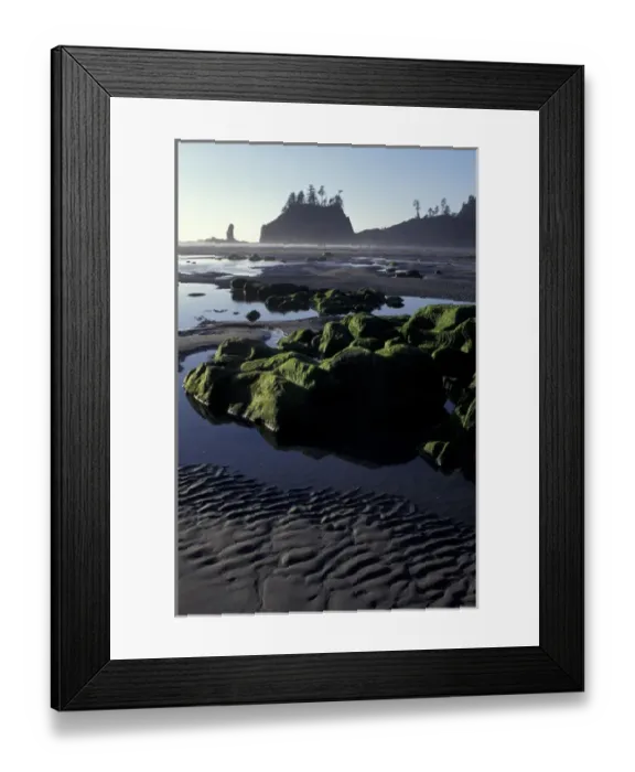 Framed Print : N. A. USA, Washington, Olympic Nat l Park, LaPush Second Beach, Algae covered rocks