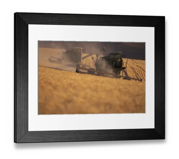 Framed Print : N. A. USA, Washington, Dusty Wheat combines at fall harvest Framed Print : N. A. USA, Washington, Dusty Wheat combines at fall harvest