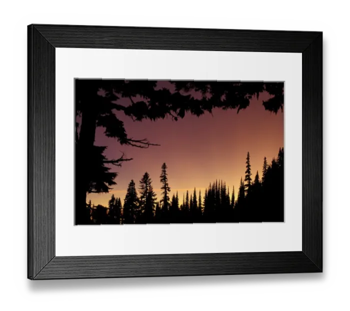 Framed Print : NA, USA, Washington, Mt. Rainier NP Evergreen silhouettes Framed Print : NA, USA, Washington, Mt. Rainier NP Evergreen silhouettes