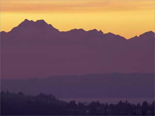 NA, USA, Washington Olympic Mountains and Puget Sound seen from Phinney Ridge