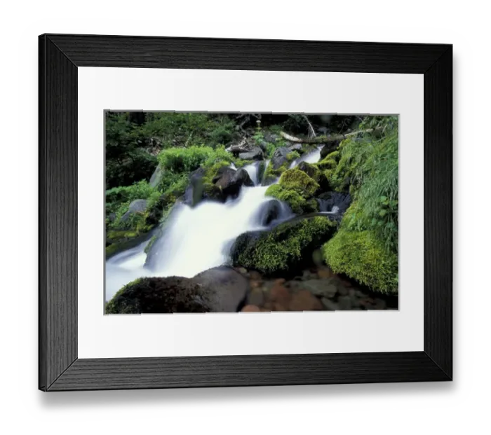 Framed Print : NA, USA, Washington, Mt. Rainier NP Mountain stream Framed Print : NA, USA, Washington, Mt. Rainier NP Mountain stream