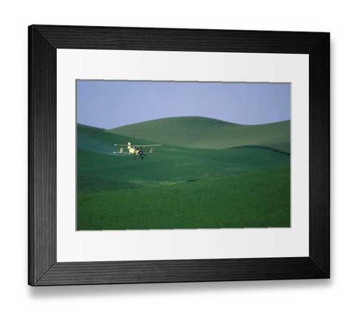 Framed Print : NA, USA, Washington, Eastern Washington Cropduster airplane Framed Print : NA, USA, Washington, Eastern Washington Cropduster airplane