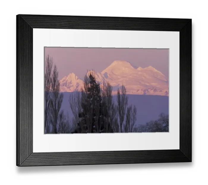 Framed Print : NA, USA, Washington, Conway, Skagit Valley. Mt. Baker seen at dawn from the Skagit Valley Framed Print : NA, USA, Washington, Conway, Skagit Valley. Mt. Baker seen at dawn from the Skagit Valley