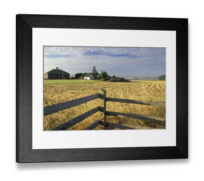 Framed Print : NA, USA, Washington, Whidbey Island, Ebeys Landing Historic farm at Ebey s