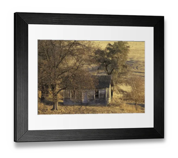 Framed Print : NA, USA, Washington, eastern Washington, Uniontown Abandoned farm house in wheat field Framed Print : NA, USA, Washington, eastern Washington, Uniontown Abandoned farm house in wheat field