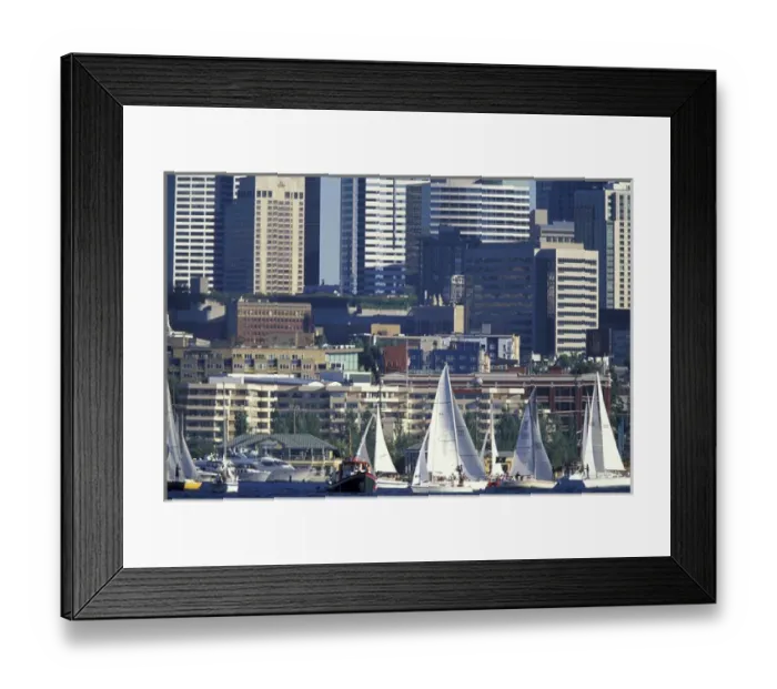 Framed Print : USA, WA, Seattle, Lake Union. Duck Dodge sailboat race