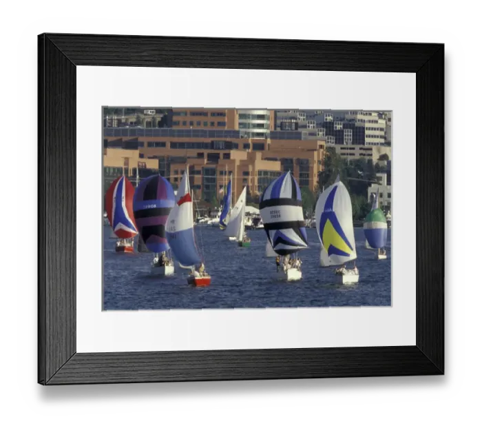 Framed Print : USA, WA, Seattle, Lake Union. Duck Dodge Sailboat Race Framed Print : USA, WA, Seattle, Lake Union. Duck Dodge Sailboat Race