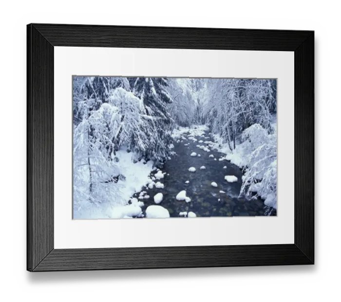 Framed Print : NA, USA, Washington, King County, Fresh snow on Denny Creek Framed Print : NA, USA, Washington, King County, Fresh snow on Denny Creek