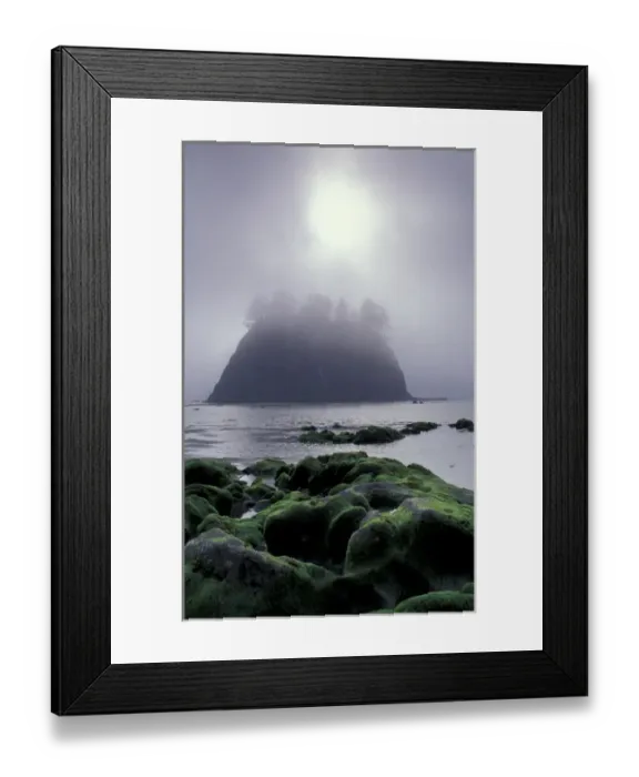 Framed Print : USA, Washington State, LaPush, Second Beach. Seastack in fog Framed Print : USA, Washington State, LaPush, Second Beach. Seastack in fog
