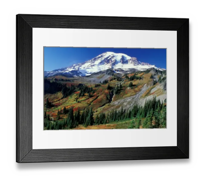 Framed Print : North America, USA, Washington, Mount Rainier National Park. Mount Rainier in Fall Framed Print : North America, USA, Washington, Mount Rainier National Park. Mount Rainier in Fall