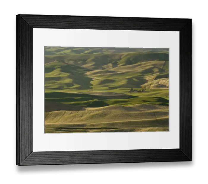 Framed Print : View of the palouse from the summit of Steptoe Butte Framed Print : View of the palouse from the summit of Steptoe Butte