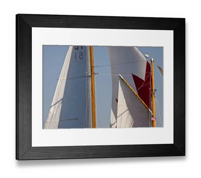 Framed Print : Fremont Solstice Parade Framed Print : Fremont Solstice Parade