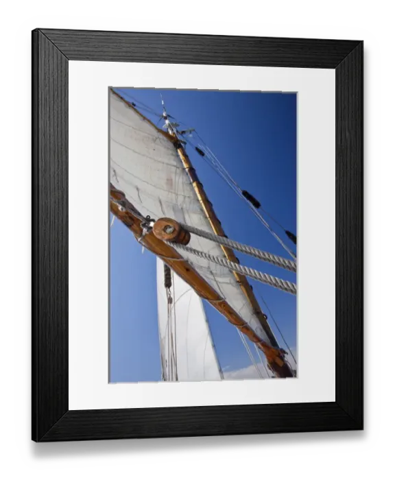 Framed Print : Fremont Solstice Parade