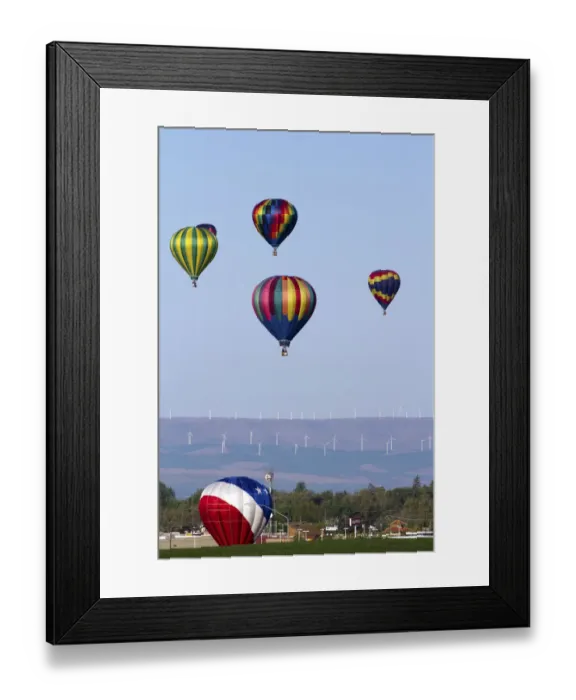 Framed Print : Walla Walla Hot Air Balloon Stampede Framed Print : Walla Walla Hot Air Balloon Stampede