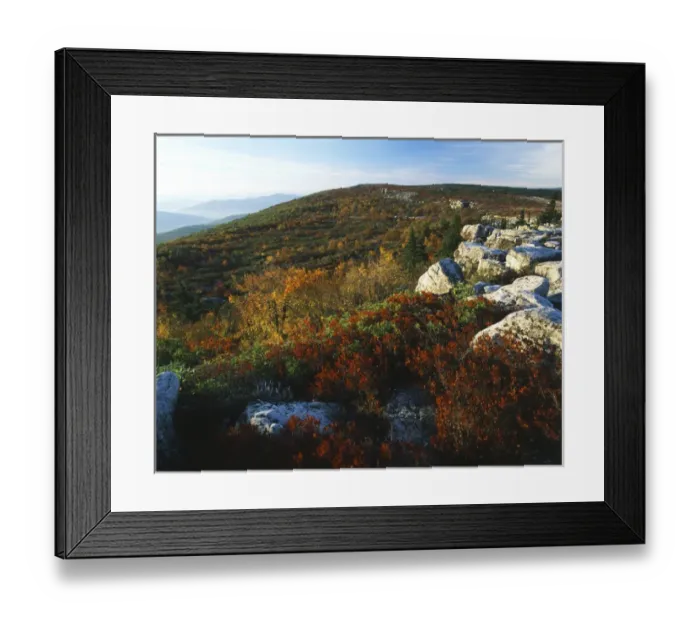 Framed Print : USA, West Virginia, Monongahela National Forest, Bear Rocks in Dolly Sods Wilderness Area Framed Print : USA, West Virginia, Monongahela National Forest, Bear Rocks in Dolly Sods Wilderness Area